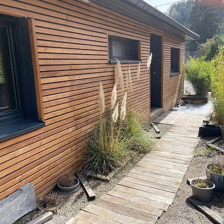 Joli Logement Avec Terrasse La Cigale 6 A 8 Personnes Orbey Bagian luar foto